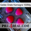 Gelée Orale Kamagra 100Mg 13